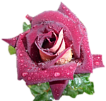 0_9691b_daefa33b_S (150x142, 38Kb)